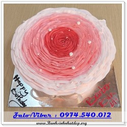 Mẫu Bánh Sinh Nhật Đẹp - A717